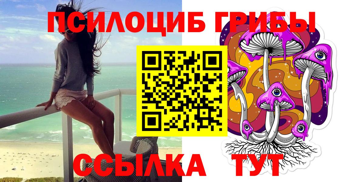 дарнет шоп  Вход с VPN  Искитим  Псилоцибиновые грибы мухоморы  Галлюциногенные грибы мицелий 