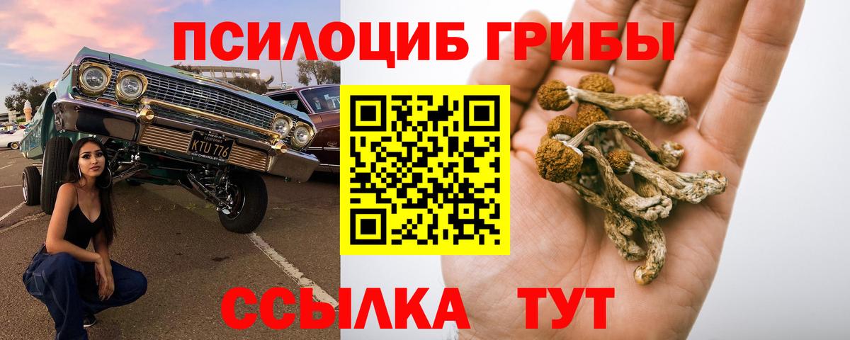 Галлюциногенные грибы прущие грибы Искитим