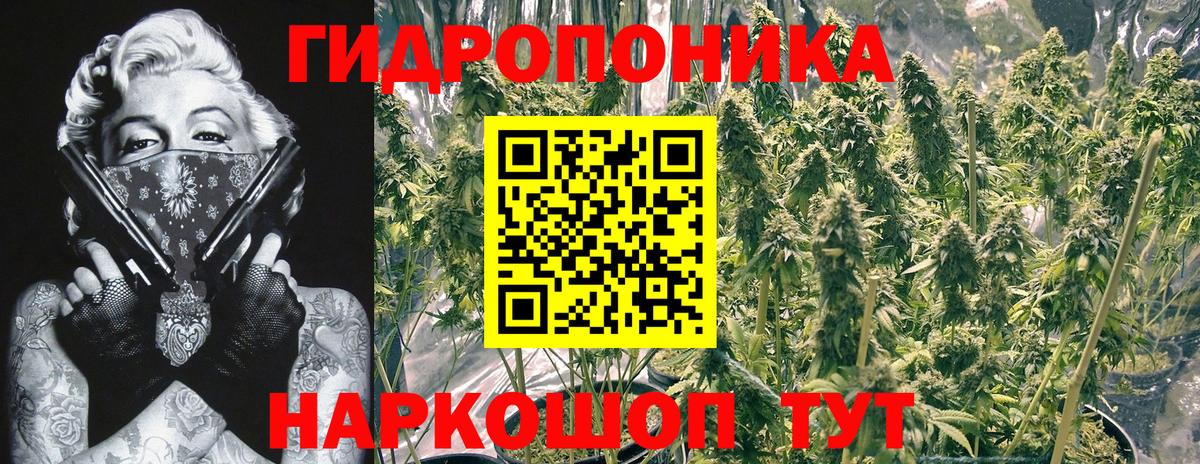 Искитим  Меф  ГАШИШ  Вход с VPN  Бошки Шишки  Лсд 25  Где продают наркотики?  МЕФ  